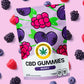 CBD Gummies: Berry (250mg)