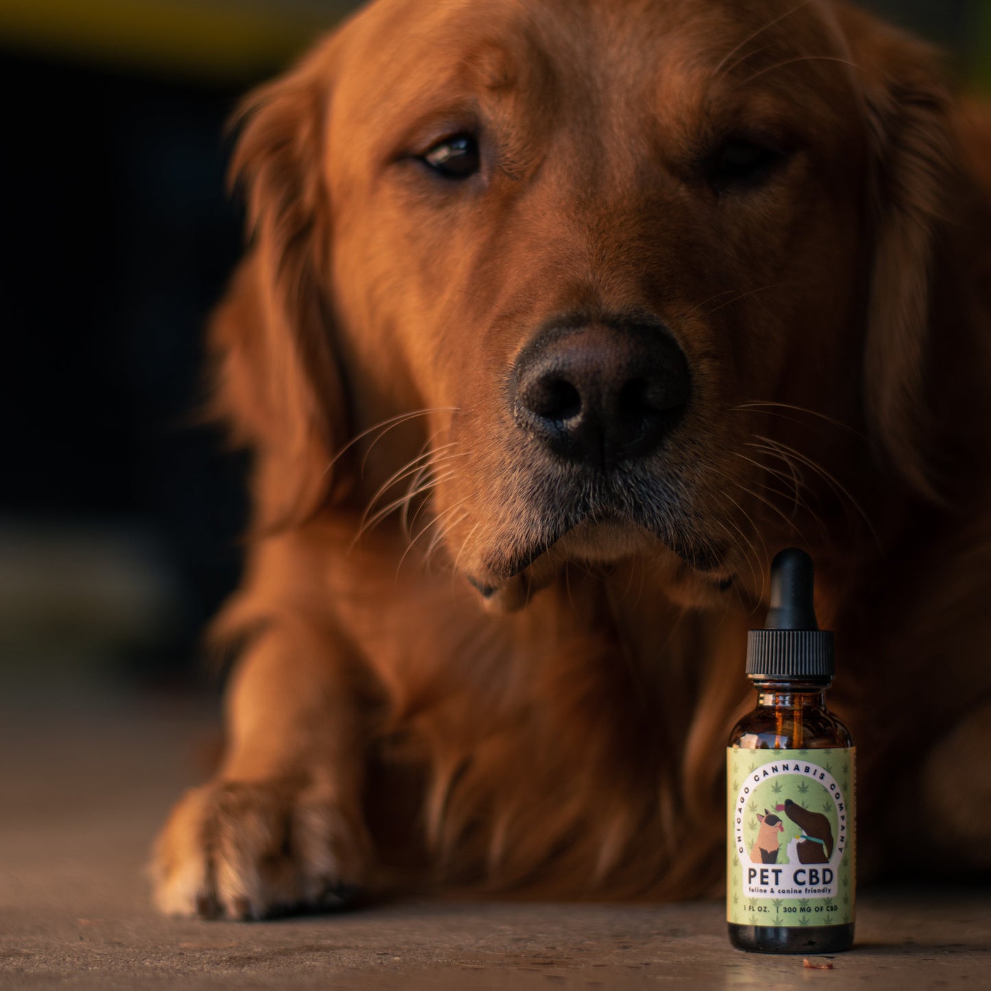 Pet CBD Drops (300mg)